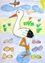 Albrechtová Erin.jpg